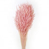 Oat Light Pink