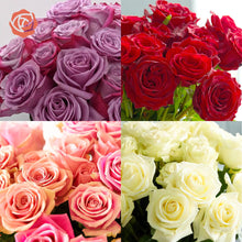 Rose Farmers' Spring Special