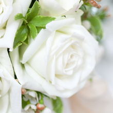 White Pure Long Stem Roses