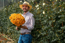 Orange Citrus Long Stem Roses