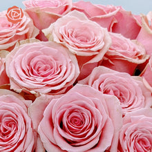 Mother's Day Special 24 Mixed Color Roses (AAA Exclusive)