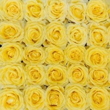 bright yellow long stem roses with golden sun like quality