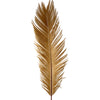 Sago Palm