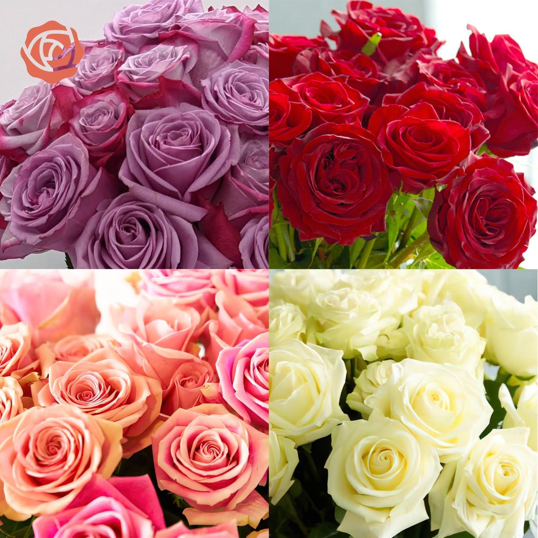 Valentines Day Farmer's Choice Roses