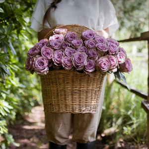 Valentines Day Farmer's Choice Roses