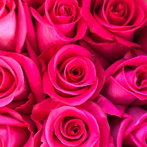 24 Magenta Roses Sweepstakes Prize!