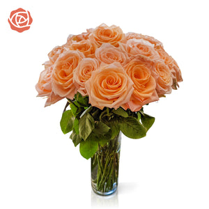 Cozy Peach Long Stem Roses
