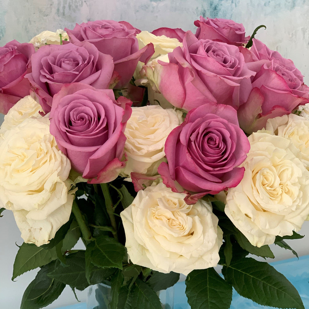 24 Cream & Lavender Long Stem Roses