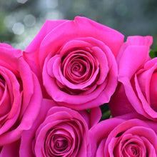 Farmer's Choice 36 Roses Plus Vase (Exclusive Bouquet)