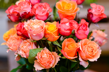 24 Farmers Choice Luxury Roses + Shipping
