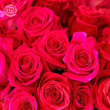 24 Magenta Roses Sweepstakes Prize!