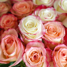 Abenity Miles Farmer's Choice 24 Roses Plus Vase (Exclusive Bouquet)