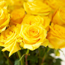 Launching Deals Exclusive: Farmer's Choice Roses
