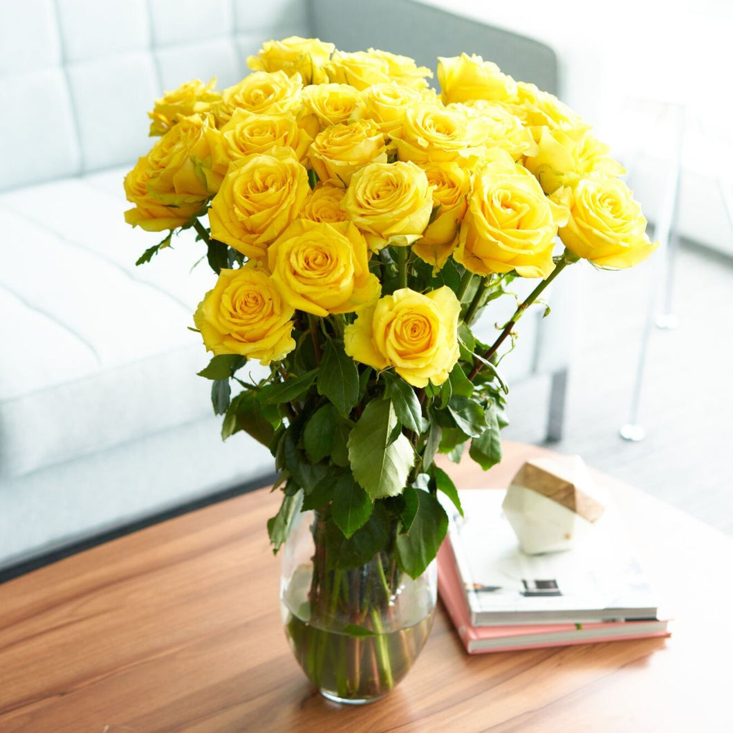 Bouquet in glass vase of bright yellow long stem roses with golden sun like quality 