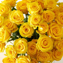 Mother's Day Special 24 Mixed Color Roses (Brad's Deals Exclusive)
