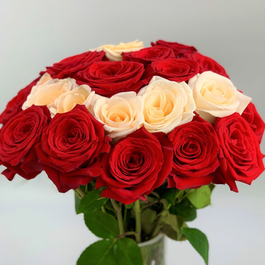 24 Red & Cream Luxury Long Stem Roses