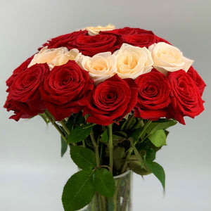 24 Red & Cream Luxury Long Stem Roses